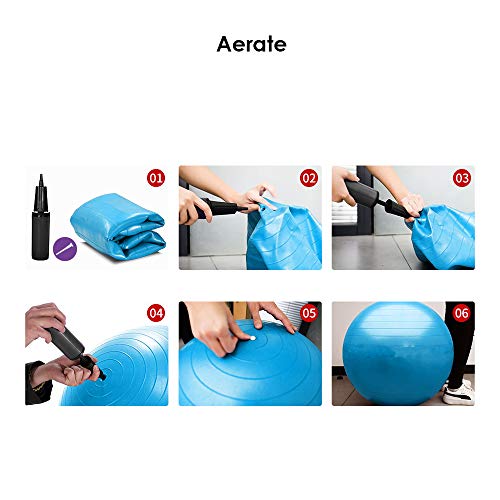 REEHUT Exercise Ball (55cm,65cm,75cm) for Fitness,Anti-Burst Yoga Ball Office Chair,Balance Ball,Extra Thick Stability Ball for Home, Gym,Physical Therapy, Pregnancy Quick Pump Included
