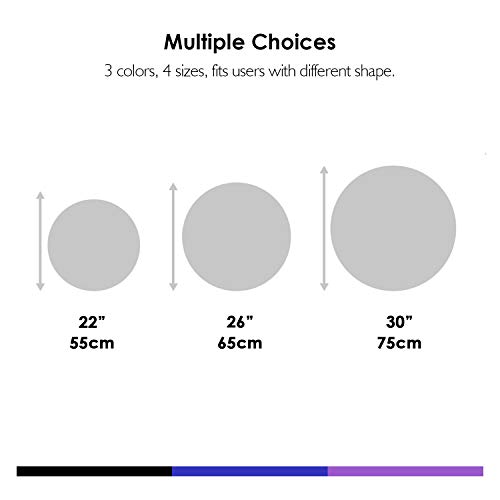 REEHUT Exercise Ball (55cm,65cm,75cm) for Fitness,Anti-Burst Yoga Ball Office Chair,Balance Ball,Extra Thick Stability Ball for Home, Gym,Physical Therapy, Pregnancy Quick Pump Included