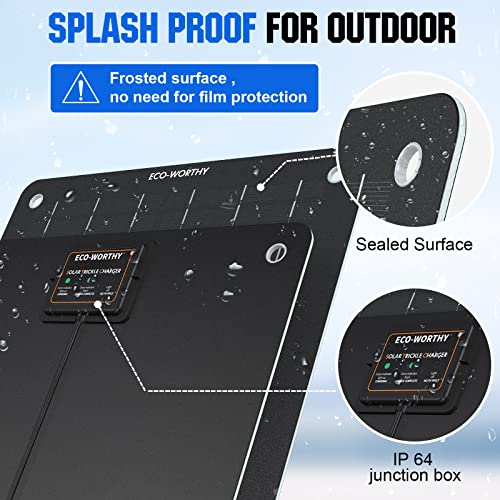 ECO-WORTHY 12 Volt 5 Watt Solar Trickle Charger for 12V Batteries Portable Power Solar Panel Battery Charger Maintainer for Car Boat Marine Motorcycles Truck