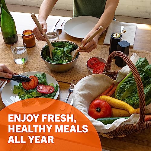 (32) Variety Pack Survival Gear Food Seeds | 15,000 Non GMO Heirloom Seeds for Planting Vegetables and Fruits. Survival Food for Your Survival kit, Gardening Gifts & Emergency Supplies | Garden vegetable seeds. by Open Seed Vault