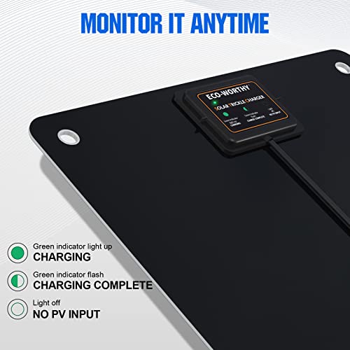 ECO-WORTHY 12 Volt 5 Watt Solar Trickle Charger for 12V Batteries Portable Power Solar Panel Battery Charger Maintainer for Car Boat Marine Motorcycles Truck