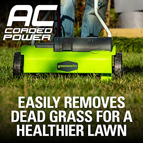 Greenworks 10 Amp 14â Corded Electric Dethatcher (Stainless Steel Tines)