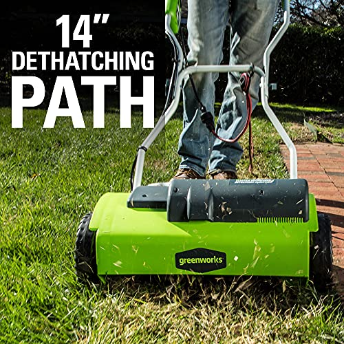 Greenworks 10 Amp 14â Corded Electric Dethatcher (Stainless Steel Tines)