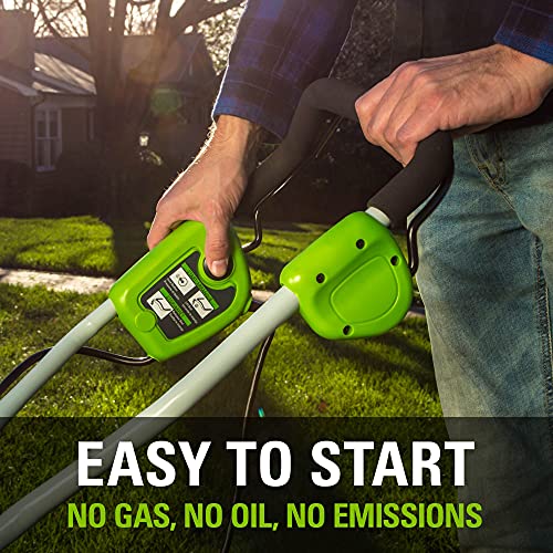 Greenworks 10 Amp 14â Corded Electric Dethatcher (Stainless Steel Tines)