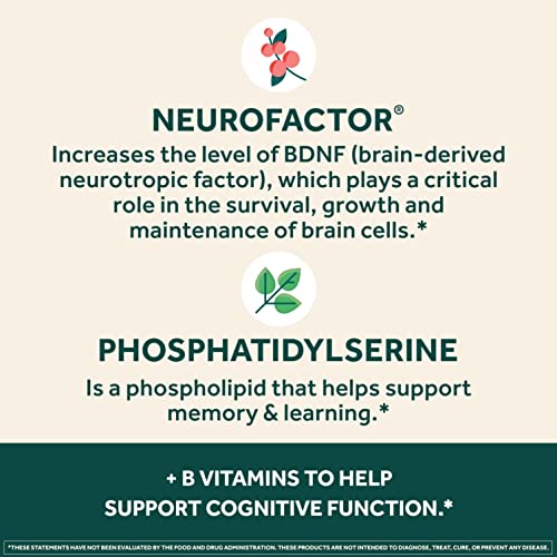 NEURIVA Plus Brain Supplement For Memory, Focus & Concentration + Cognative Function with Vitamins B6 & B12 and Clinically Tested Nootropics Phosphatidylserine and Neurofactor, 30ct Capsules