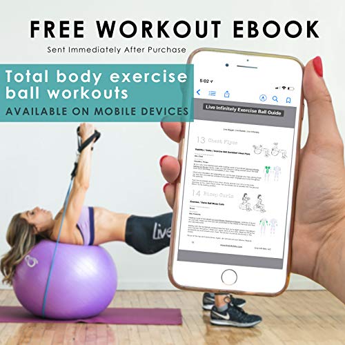 Exercise Ball (55cm-95cm) Extra Thick Professional Grade Balance & Stability Ball- Anti Burst Tested Supports 2200lbs- Includes Hand Pump & Workout Guide Access (Grey, 95 cm)