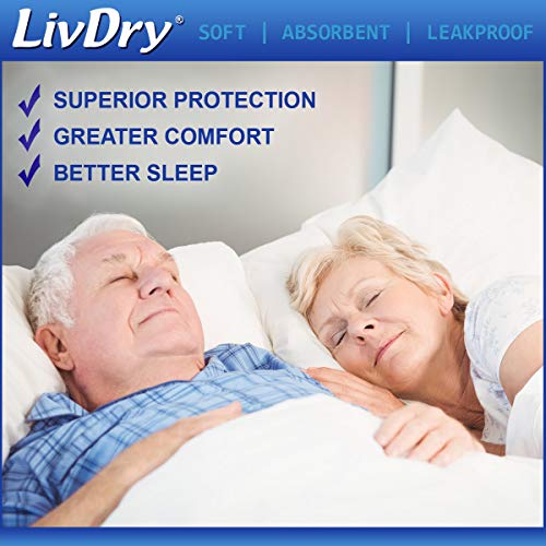LivDry Adult L Incontinence Underwear, Overnight Comfort Absorbency, Leak Protection, Large, 16-Pack
