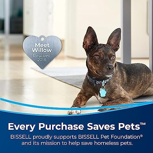 BISSELL Little Green Multi-Purpose Portable Carpet and Upholstery Cleaner, 1400B