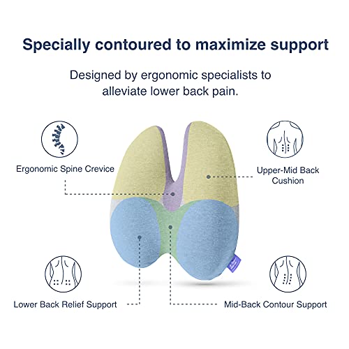 Cushion Lab Extra Dense Lumbar Pillow - Patented Ergonomic Multi-Region Firm Back Support for Lower Back Pain Relief - Lumbar Support Cushion w/Strap for Office Chair, Car, Sofa, Plane - Black