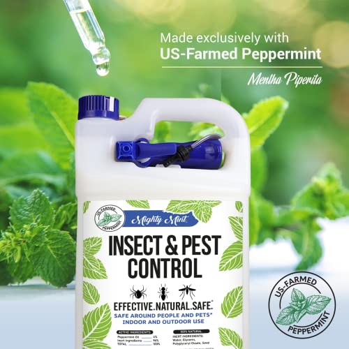 Mighty Mint Gallon (128 oz) Insect and Pest Control Peppermint Oil - Natural Spray for Spiders, Ants, and More - Non Toxic