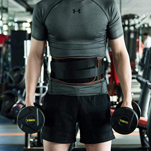 King of Kings Lower Back Brace Pain Relief with Pulley System - Lumbar Support Belt for Women and Men - Adjustable Waist Straps for Sciatica, Spinal Stenosis, Scoliosis or Herniated Disc - Large