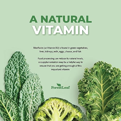 Vitamin B2 Riboflavin, 400mg - 90 Capsules - Promotes Healthier Blood, Nervous System, Energy and Metabolism â Non-GMO, Gluten Free Daily Dietary Supplement â by ForestLeaf