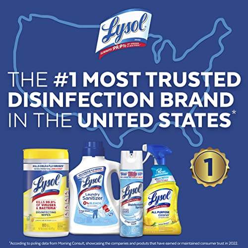 Lysol Disinfectant Wipes, Multi-Surface Antibacterial Cleaning Wipes, For Disinfecting and Cleaning, Lemon and Lime Blossom, 80 Count (Pack of 4)Ã¢â¬â¹