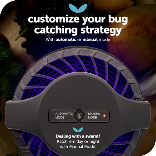 Katchy Automatic Indoor Insect Trap - Self-Activating Killer for Mosquitos, Gnats, Moths, Fruit Flies - Non-Zapper Traps for Inside Your Home - Catch Insects with Suction, Bug Light & Sticky Glue