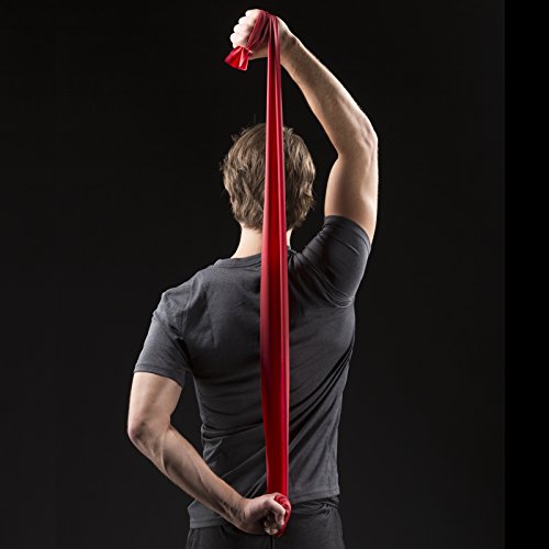 THERABAND Resistance Bands Set, Professional Non-Latex Elastic Band For Upper & Lower Body Exercise, Strength Training without Weights, Physical Therapy, Pilates, Rehab, Yellow & Red & Green, Beginner