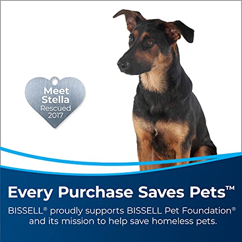 BISSELLÂ® TurboCleanâ¢ DualPro Pet Carpet Cleaner