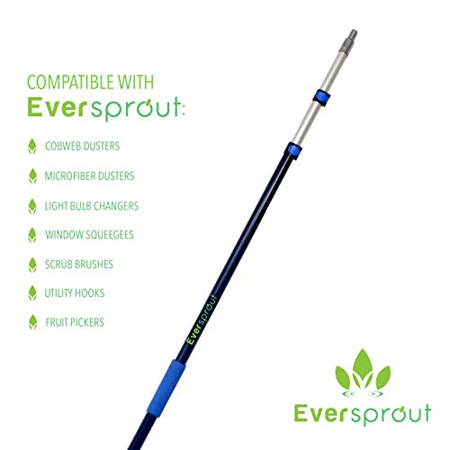 EVERSPROUT 5-to-12 Foot Cobweb Duster and Extension-Pole Combo (20 Ft Reach, Medium-Stiff Bristles), Hand-Packaged, Lightweight, 3-Stage Aluminum Pole, Indoor & Outdoor Use Spider Web Brush with Pole