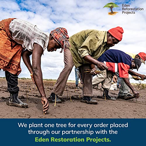 EVERSPROUT 5-to-12 Foot Cobweb Duster and Extension-Pole Combo (20 Ft Reach, Medium-Stiff Bristles), Hand-Packaged, Lightweight, 3-Stage Aluminum Pole, Indoor & Outdoor Use Spider Web Brush with Pole