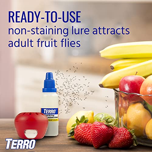 TERRO T2502 Ready-to-Use Indoor Fruit Fly Killer and Trap with Built in Window - 2 Traps + 90 day Lure Supply