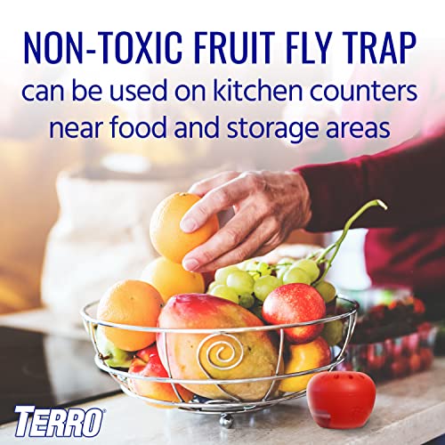 TERRO T2502 Ready-to-Use Indoor Fruit Fly Killer and Trap with Built in Window - 2 Traps + 90 day Lure Supply