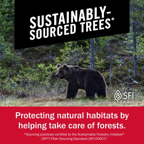 BrawnyÂ® Tear-A-SquareÂ® Paper Towels, 16 Double Rolls = 32 Regular Rolls