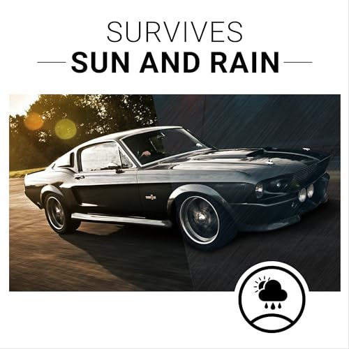 CAR GUYS Plastic Restorer - The Ultimate Solution for Bringing Rubber, Vinyl and Plastic Back to Life! - 8 Oz Kit