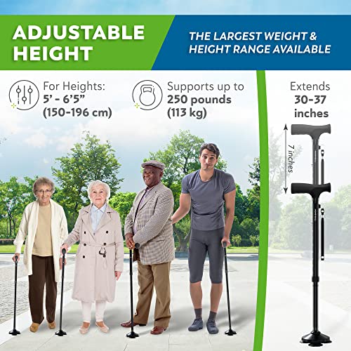 HONEYBULL Walking Cane for Men & Women - Free Standing Cane, Foldable, Pivot Tip, Heavy Duty, with Travel Bag | Walking Sticks, Canes for Seniors & Adults [Black]
