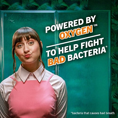 TheraBreath Fresh Breath Dentist Formulated Oral Rinse, Mild Mint, 16 Ounce (Pack of 2)