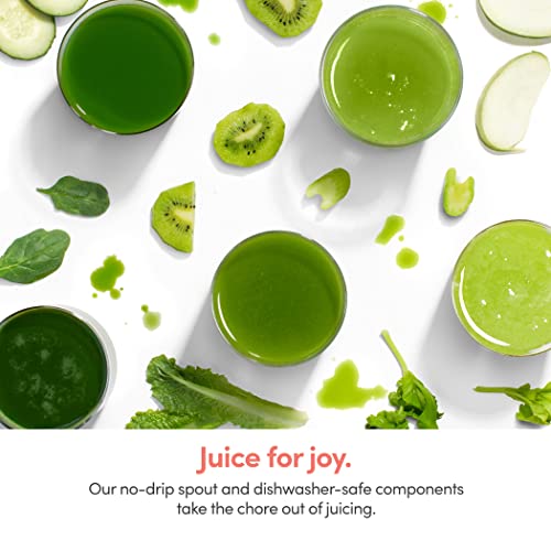 nutribullet Slow Juicer, Slow Masticating Juicer Machine, Easy to Clean, Quiet Motor & Reverse Function, BPA-Free, Cold Press Juicer with Brush, 150 Watts, Charcoal Black, NBJ50300