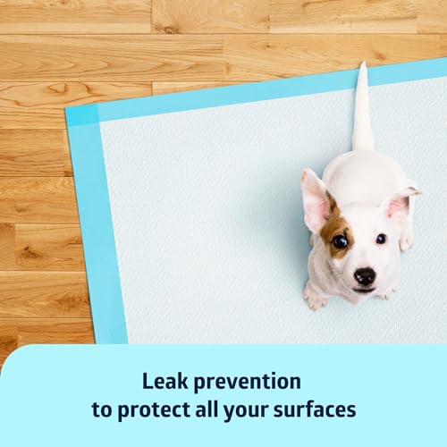 Medline Quilted Basic Disposable Blue Underpad, 23 x 36 for incontinence, Furniture Protection or Pet Pads (Pack of 150)