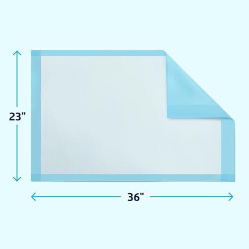Medline Quilted Basic Disposable Blue Underpad, 23 x 36 for incontinence, Furniture Protection or Pet Pads (Pack of 150)