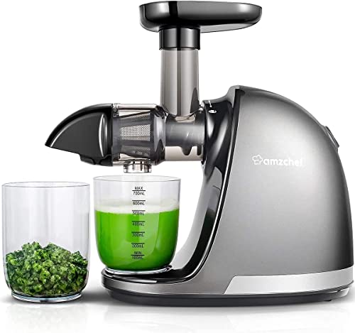 Slow Masticating Juicer, AMZCHEF Cold Press Juicer Professional Machine, Slow Juicer with Quiet Motor/Reverse Function, Juicer Machines with Brush, for High Nutrient Fruit & Vegetable (Updated)