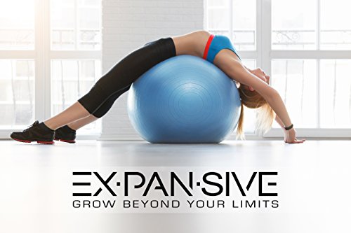 EXPANSIVE LIVING Exercise Ball (Blue, 75cm) - 2,000 lbs Stability Ball. Anti Burst & Heavy Duty for Yoga, Balance and Birthing. Physio Ball | Office Chair | Professional Grade Swiss Ball