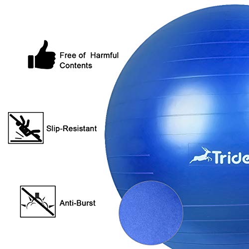Trideer Exercise Ball (45-85cm) Extra Thick Yoga Ball Chair, Anti-Burst Heavy Duty Stability Ball Supports 2200lbs, Birthing Ball with Quick Pump (Office & Home & Gym) (Royal Blue, M (48-55cm))