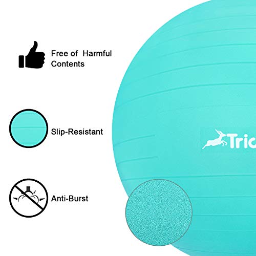 Trideer Ball Chair – Exercise Stability Yoga Ball with Base for Home and Office Desk, Ball Seat, Flexible Seating with Ring & Pump, Improves Balance, Back Pain, Core Strength & Posture（Ball with Ring