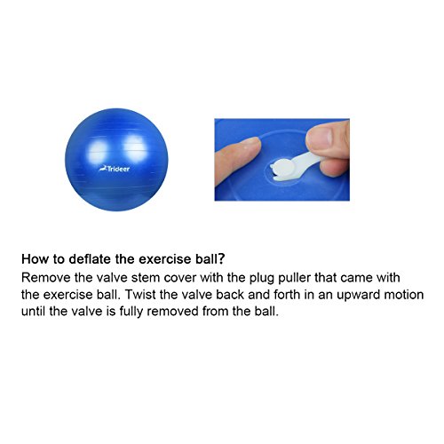 Trideer Exercise Ball (45-85cm) Extra Thick Yoga Ball Chair, Anti-Burst Heavy Duty Stability Ball Supports 2200lbs, Birthing Ball with Quick Pump (Office & Home & Gym) (Royal Blue, M (48-55cm))