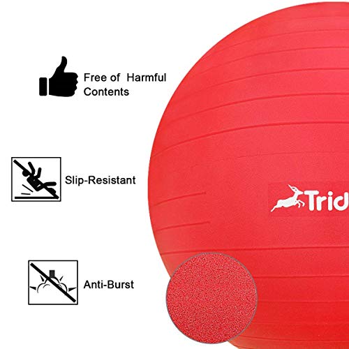 Trideer Yoga Ball Exercise Ball