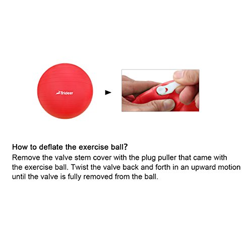 Trideer Yoga Ball Exercise Ball