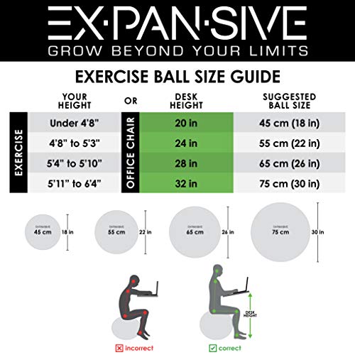 EXPANSIVE LIVING Exercise Ball (Black, 45cm) - 2,000 lbs Stability Ball. Anti Burst & Heavy Duty for Yoga, Balance and Birthing. Physio Ball | Office Chair | Professional Grade Swiss Ball