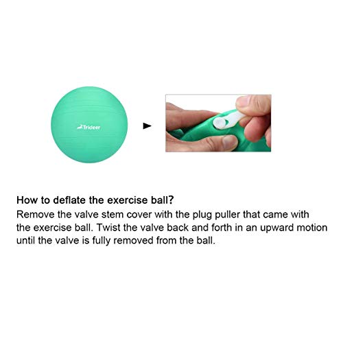 Trideer Yoga Ball Exercise Ball