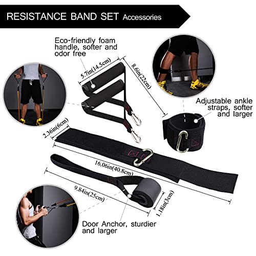 TheFitLife Exercise Resistance Bands with Handles - 5 Fitness Workout Bands Stackable up to 110/150 lbs, Training Tubes with Large Handles, Ankle Straps, Door Anchor Attachment, Carry Bag (110 LBS)