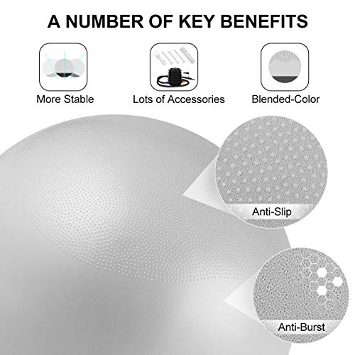 GalSports Exercise Ball Yoga Ball Stability Ball with Extra-Thick Base for Workout, Seating, Fitness & Birthing, Anti-Burst (Arctic Silver & Midnight Black, 60cm)