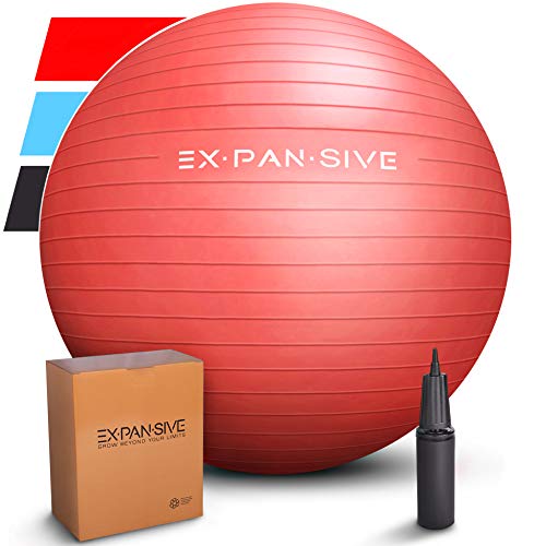 EXPANSIVE LIVING Exercise Ball (Red, 65cm) - 2,000 lbs Stability Ball. Anti Burst & Heavy Duty for Yoga, Balance and Birthing. Physio Ball | Office Chair | Professional Grade Swiss Ball