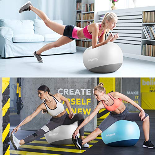 GalSports Exercise Ball Yoga Ball Stability Ball with Extra-Thick Base for Workout, Seating, Fitness & Birthing, Anti-Burst (Arctic Silver & Midnight Black, 60cm)