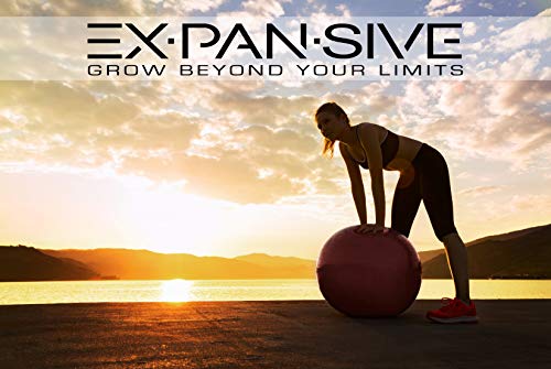 EXPANSIVE LIVING Exercise Ball (Red, 75 cm) - 2,000 lbs Stability Ball. Anti Burst & Heavy Duty for Yoga, Balance and Birthing. Physio Ball | Office Chair | Professional Grade Swiss Ball