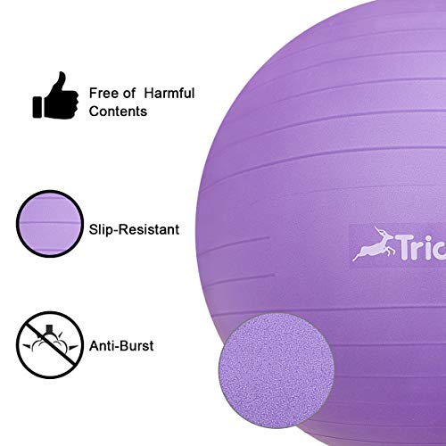 Trideer Ball Chair – Exercise Stability Yoga Ball with Base for Home and Office Desk, Ball Seat, Flexible Seating with Ring & Pump, Improves Balance, Back Pain, Core Strength & Posture（Ball with Ring