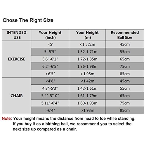 Trideer Yoga Ball - Exercise Ball for Workout pilates Stability - Anti-Burst and Slip Resistant for physical therapy, Birthing, Stretching & Core Workout, Office Ball Chair, Flexible Seating, Home Gym