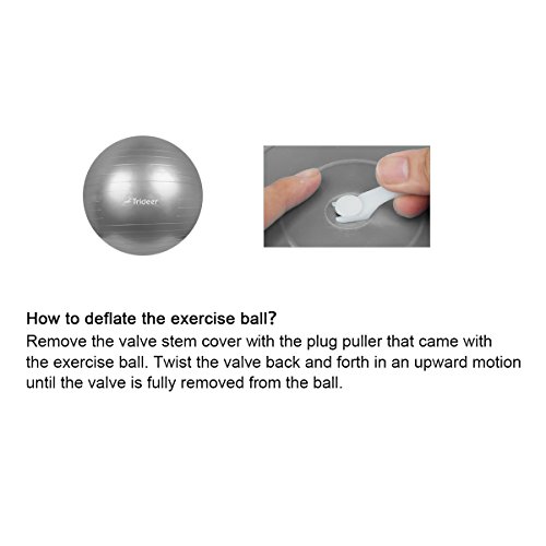 Trideer Exercise Ball (Multiple Sizes), Yoga Ball, Birthing Ball with Quick Pump, Anti-Burst & Extra Thick, Heavy Duty Ball Chair, Stability Ball Supports 2200lbs (Office&Home) (Bright Silver, 65cm)