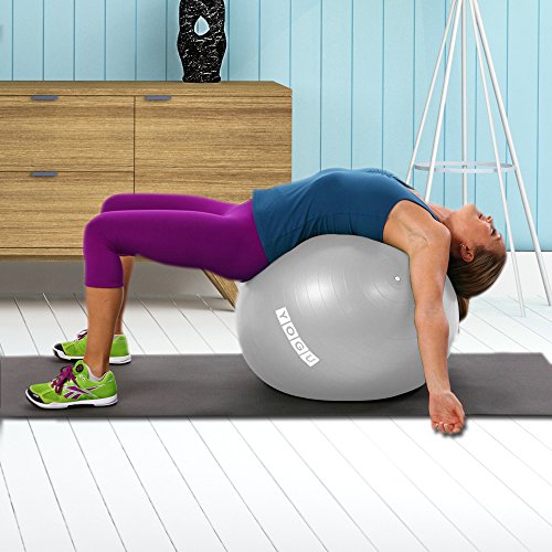 YOGU Stability Exercise Ball 65cm Yoga Balance Ball Birthing Ball with Air Pump Anti-Slip & Anti-Burst Supports 2000lbs Great for Yoga Pilates Abdominal Workout Fitness Ball and Office Chair