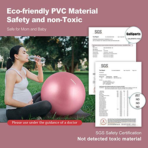 Galsports Pregnancy Birthing Ball, Yoga Exercise Birth Ball Chair for Delivery & Training & Fitness, Extra Thick Non-Toxic Anti-Burst Labor Ball with Quick Pump(Dusty Rose,L(58-65cm))